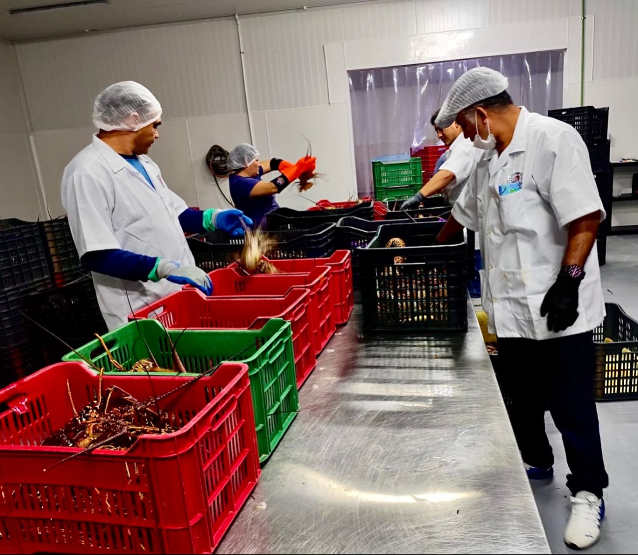 El recale de talofita complica las labores de los pescadores