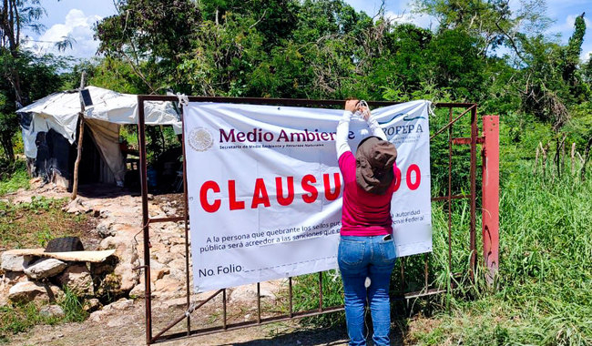 Justicia ambiental en Santa Maria Chi, Mérida; Profepa clausura granja porcícola de forma definitiva