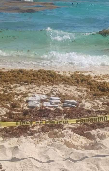 El hallazgo ocurrió a 700 metros al sur de Playacar, en dirección a Xcaret.