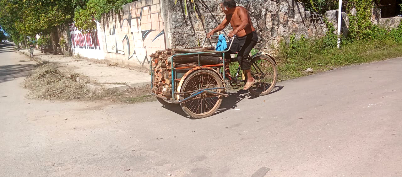 Vicente detalló que se apoya con la venta de leña