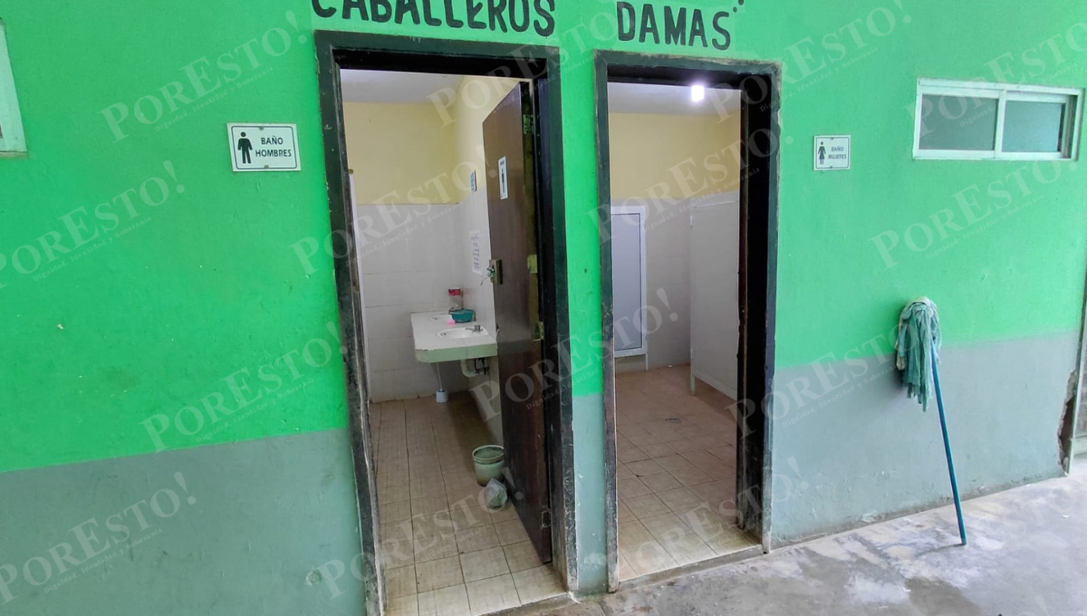 Exigen al Ayuntamiento atender el problema por riesgos sanitarios