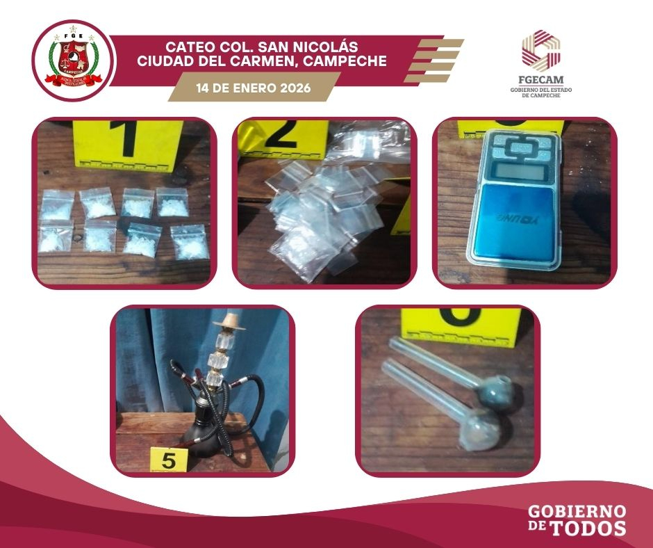 Cateo en la colonia San Nicolás, Ciudad del Carmen