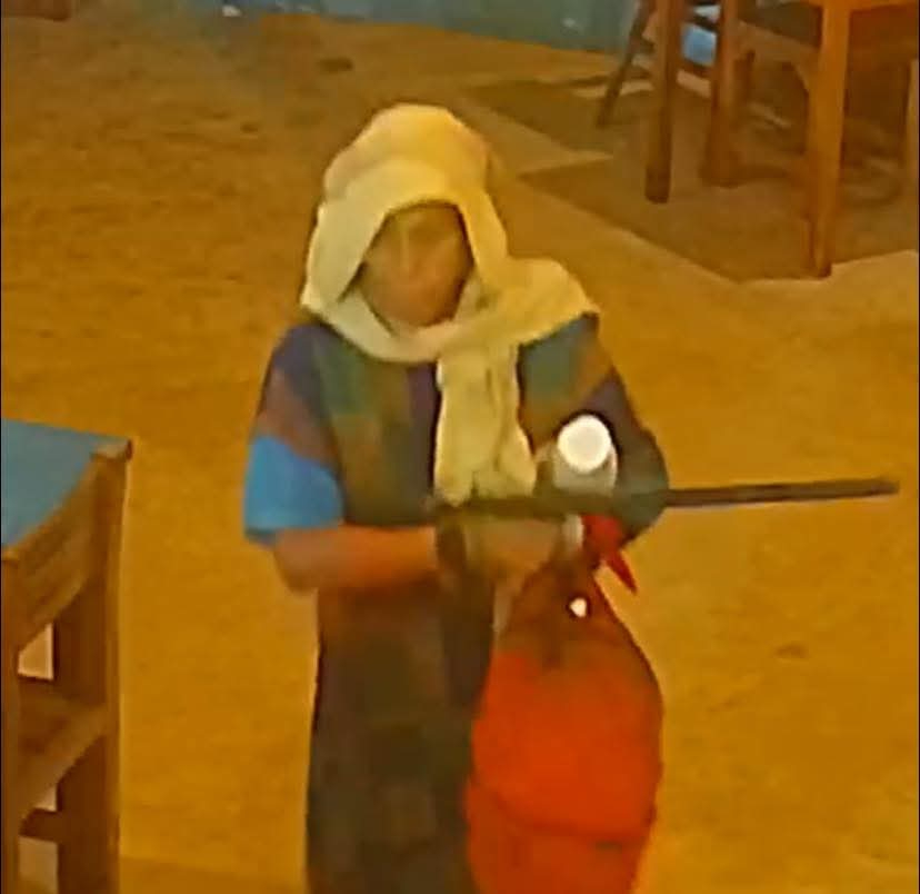 Testimonios indican que no estaría en pleno uso de sus facultades mentales.