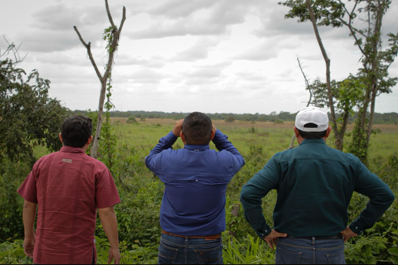 Autoridades agrícolas descartan otros focos activos en la zona.