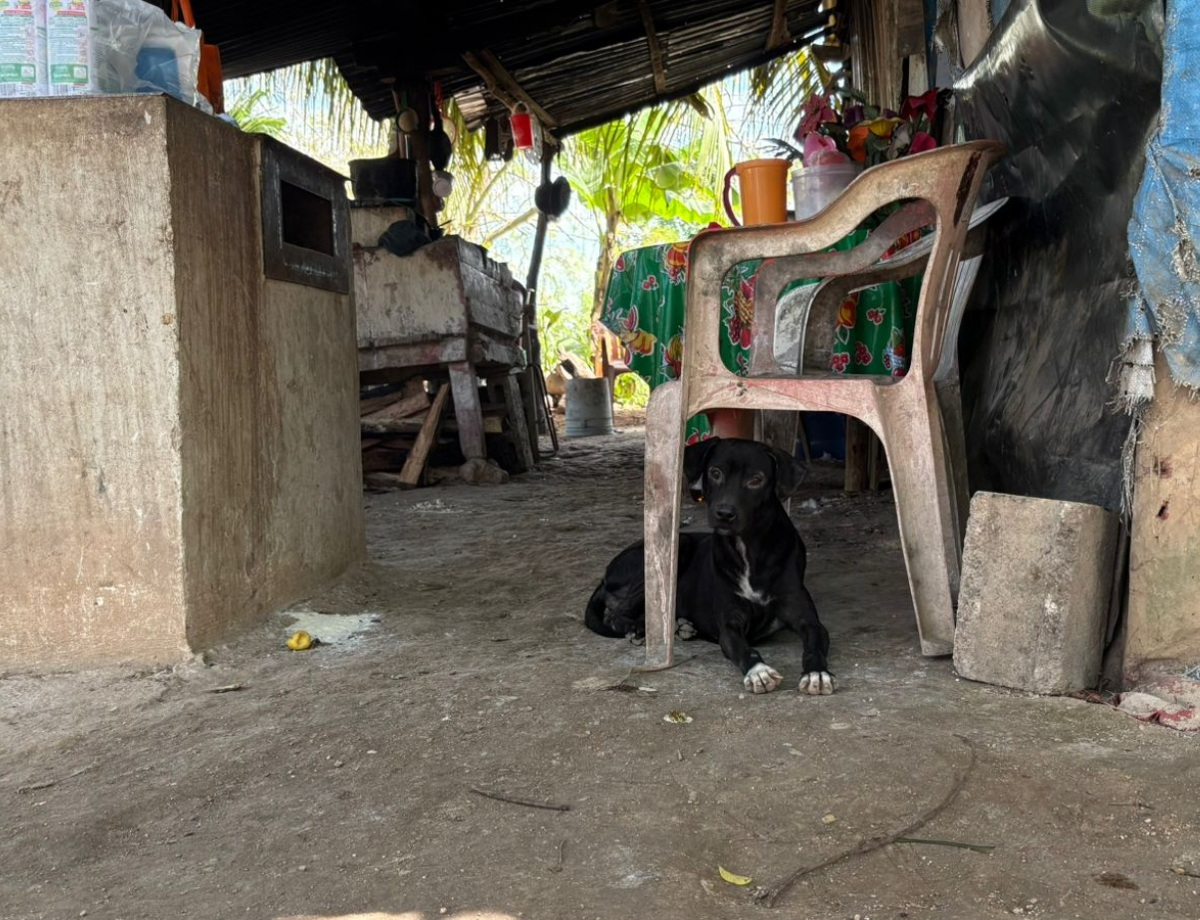 Abuelitos pertenecen a un estrato social bajo impidiendo acceder a una vivienda digna