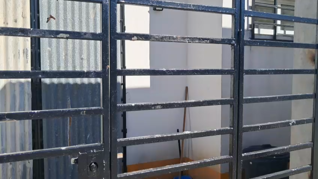 Centro de Bienestar Animal de Cancún sigue cerrado tras brote de moquillo