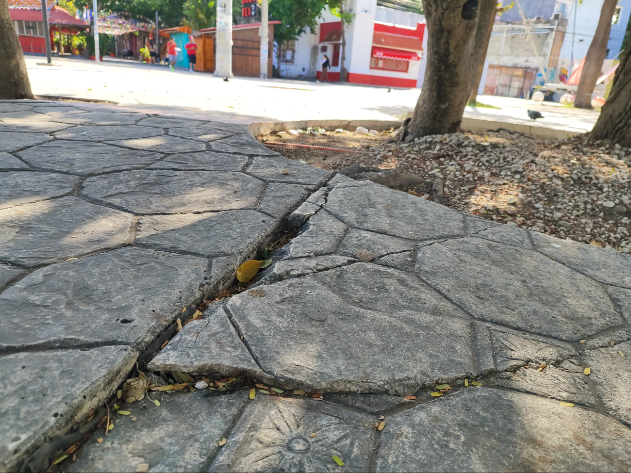 Habitantes dijeron que hay afectaciones en el sistema eléctrico, así como grietas en los espacios para caminar que podrían provocar accidentes