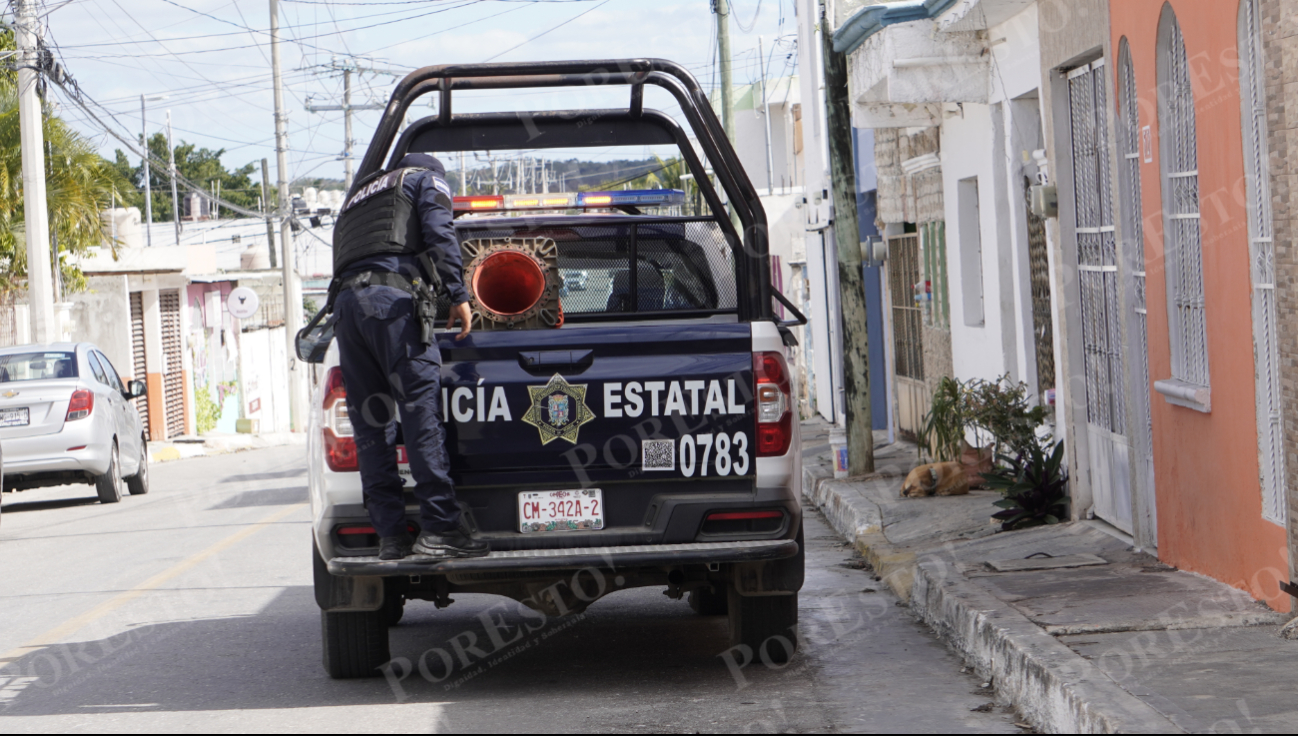 La Fiscalía especializada en delitos contra animales abrió una carpeta de investigación.