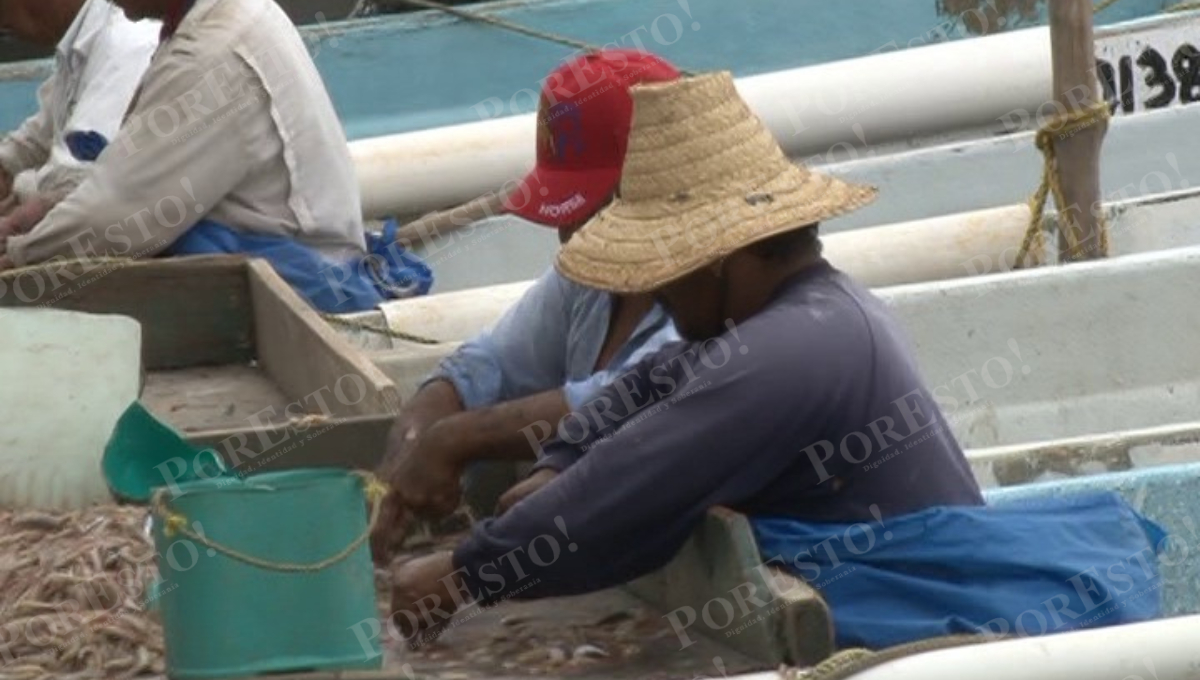 La baja producción a inicios de año ha golpeado severamente a las cooperativas pesqueras.