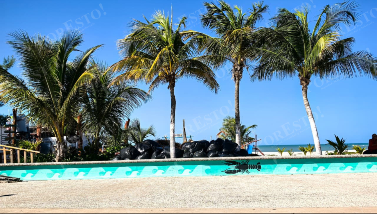 Se evitarán nuevas invasiones en la franja costera.