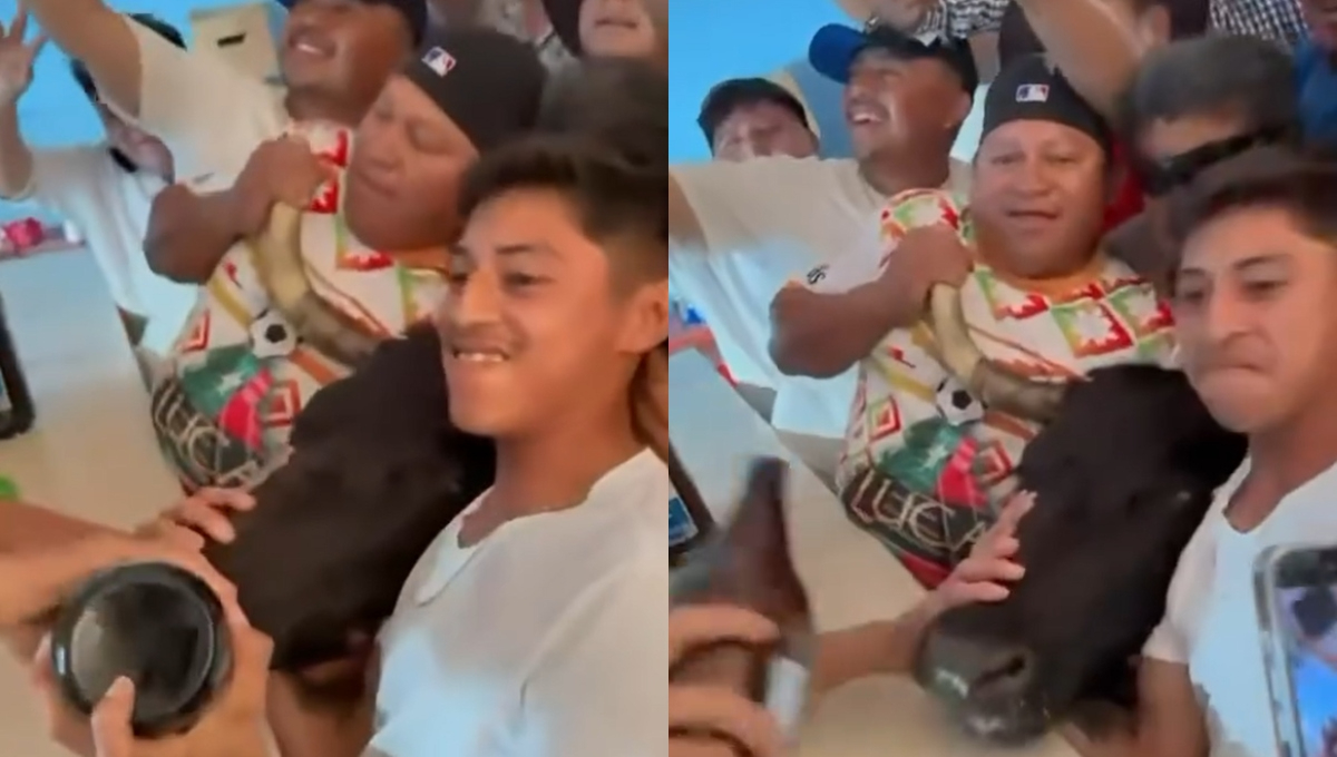 Video de toro en bar de Temax reaviva debate sobre maltrato animal en fiestas tradicionales