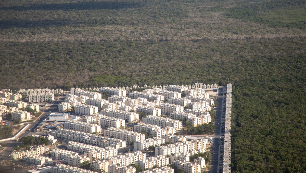 La ONG advirtió que la selva, el agua y la biodiversidad están en riesgo