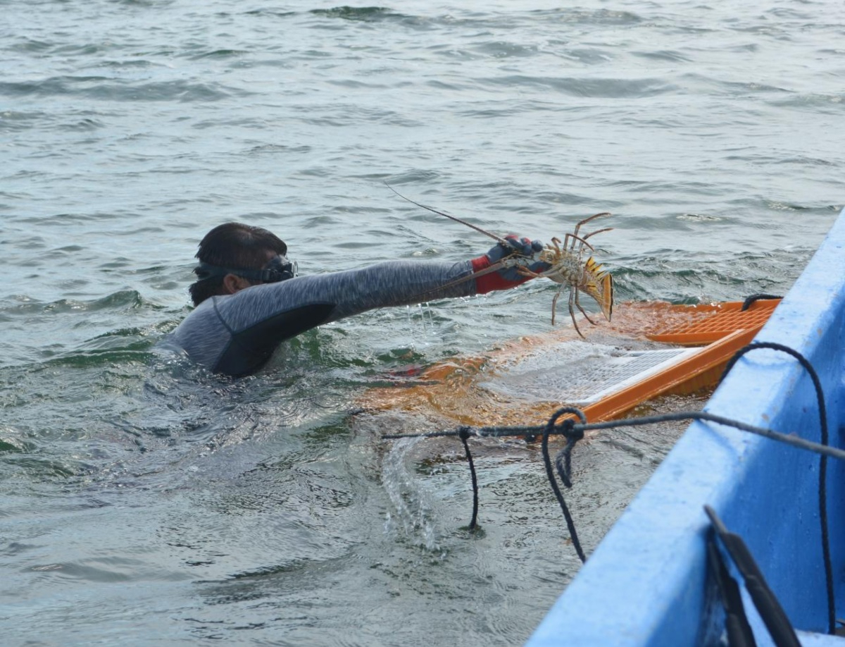 Se ha buscado la forma de sustentar gastos y pagos de más de 70 trabajadores