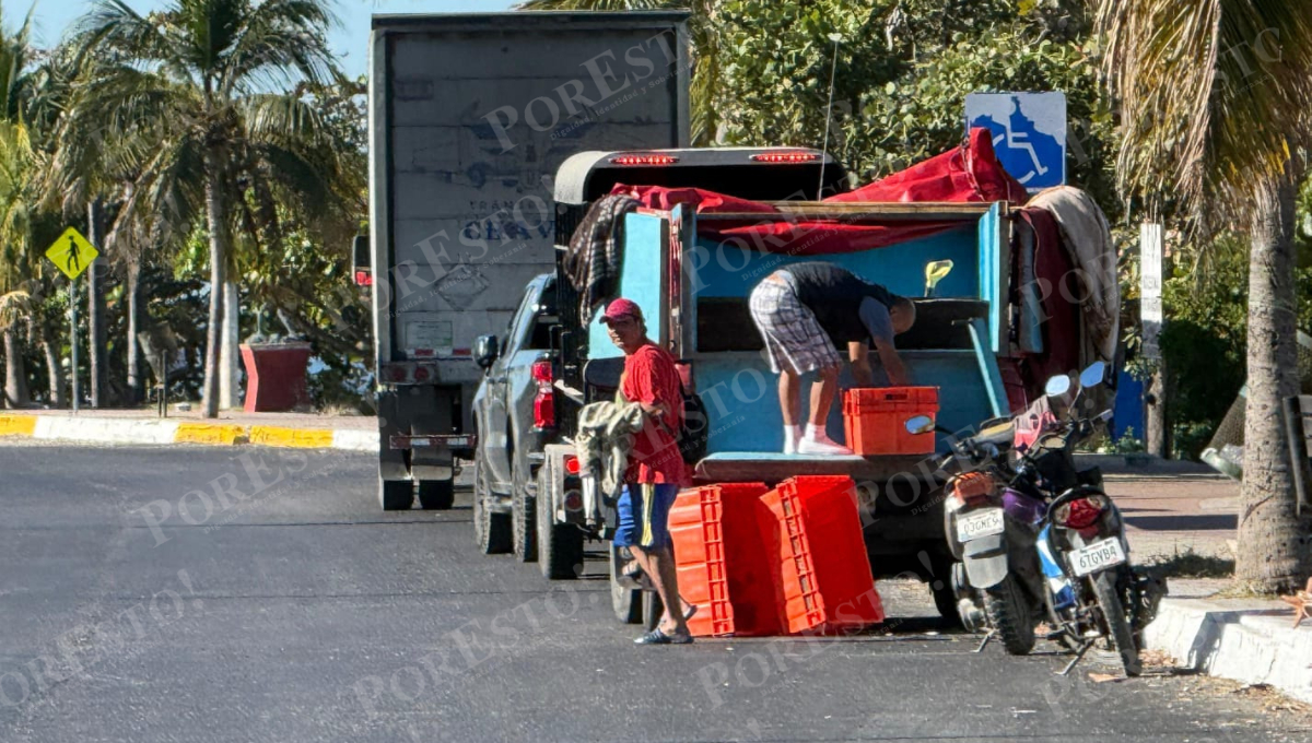 Aunque las capturas han sido medianamente buenas, el precio sigue bajo en Champotón