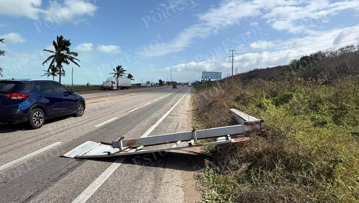 En Sabancuy, cayó un letrero vial y un árbol colapsó sobre una calle del poblado.
