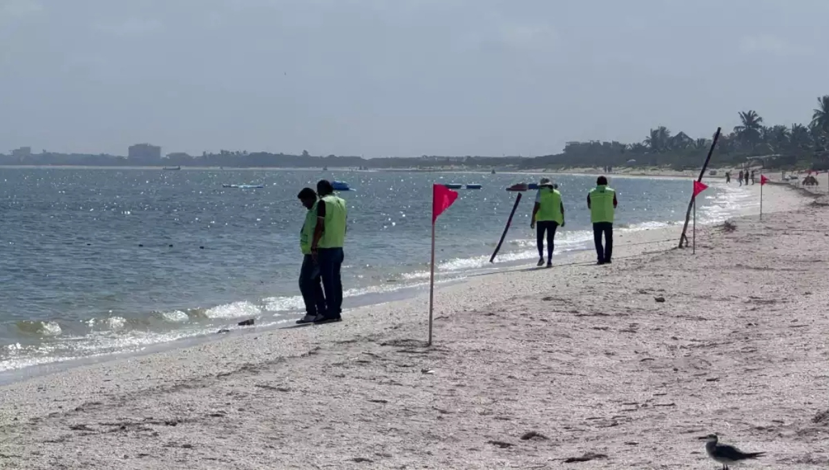 También se trabaja en la elaboración de un reglamento que dará mayor formalidad y sustento jurídico al comité