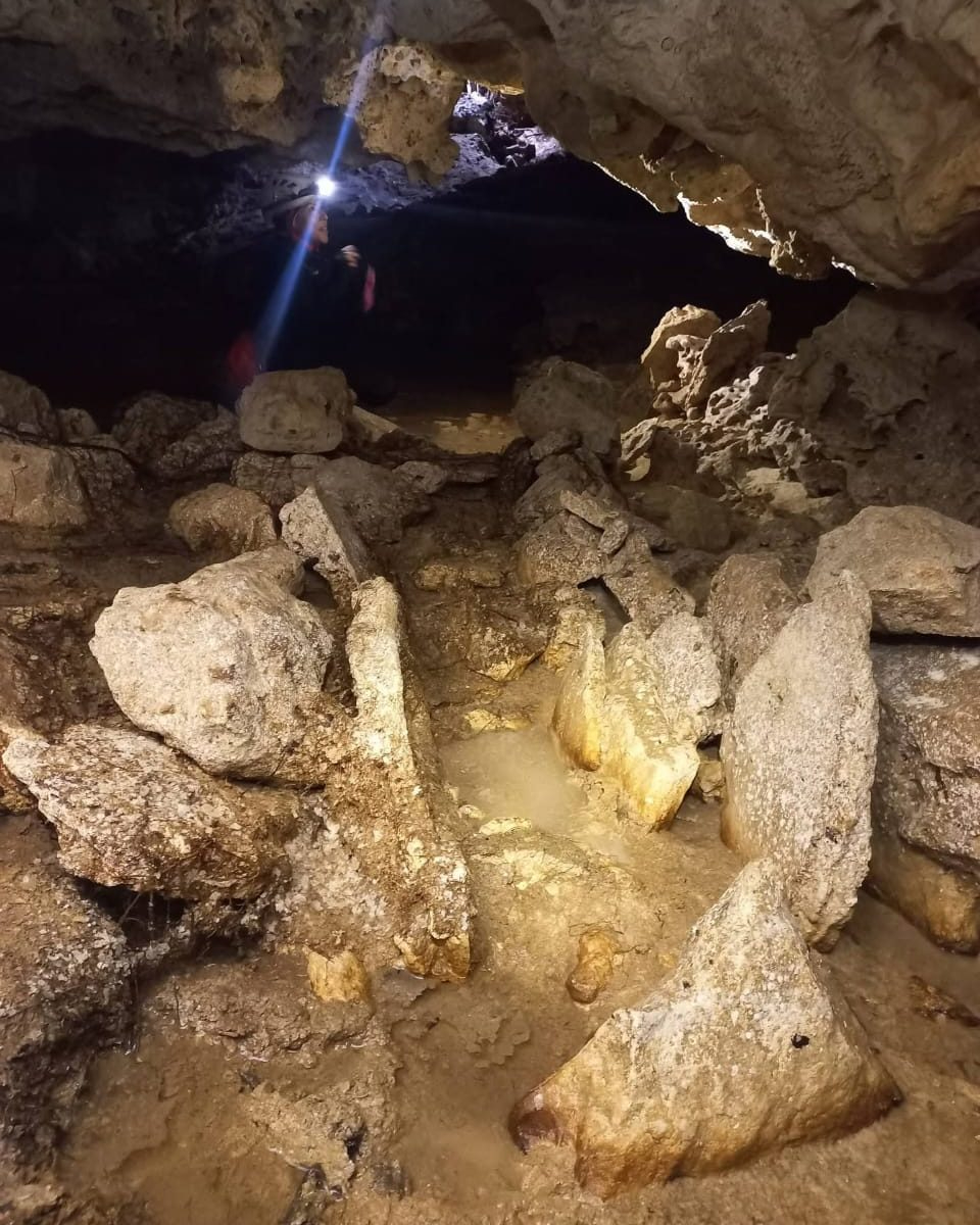 Durante una exploración, activistas hallaron restos de fauna y trampas de tepexcuintle