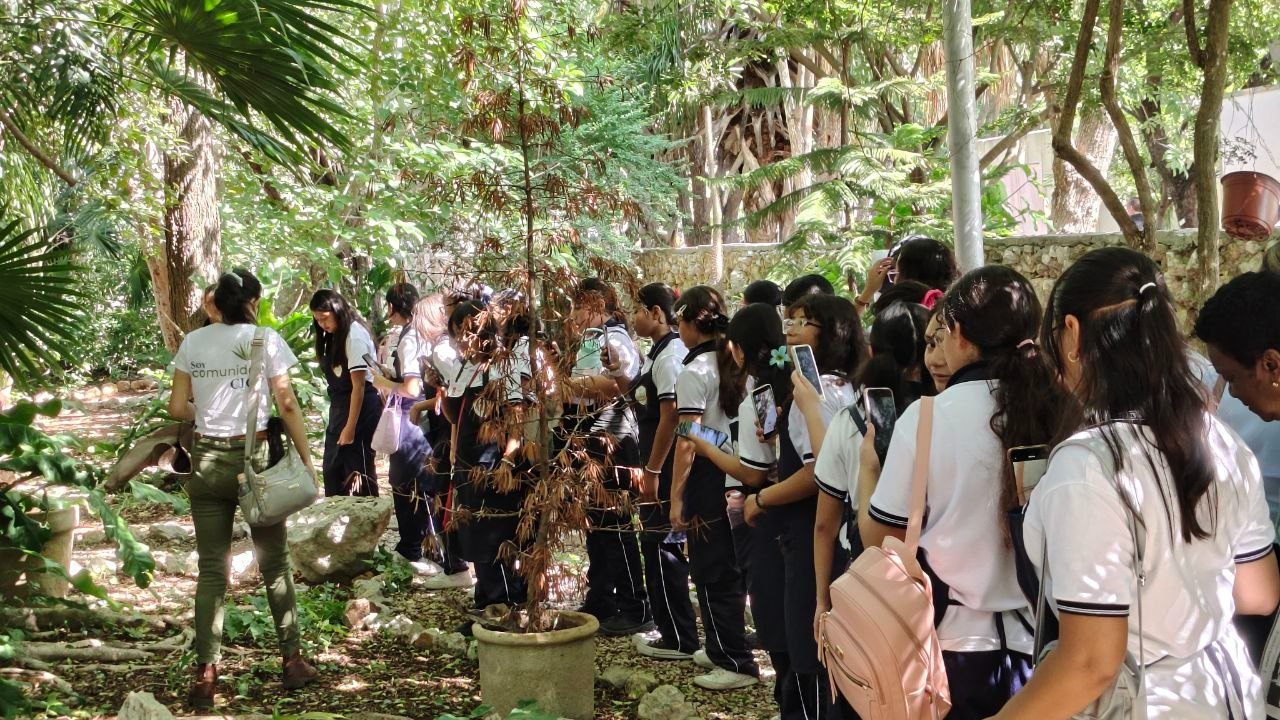 Más de 580 mil alumnos de todos los niveles regresan de manera escalonada a las aulas en Yucatán