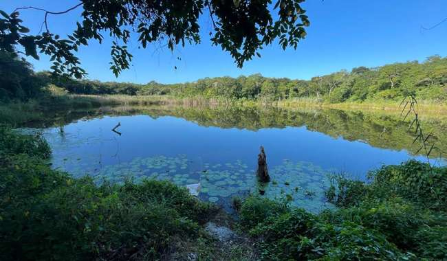 X’baatún está en el municipio de Tekal de Venegas