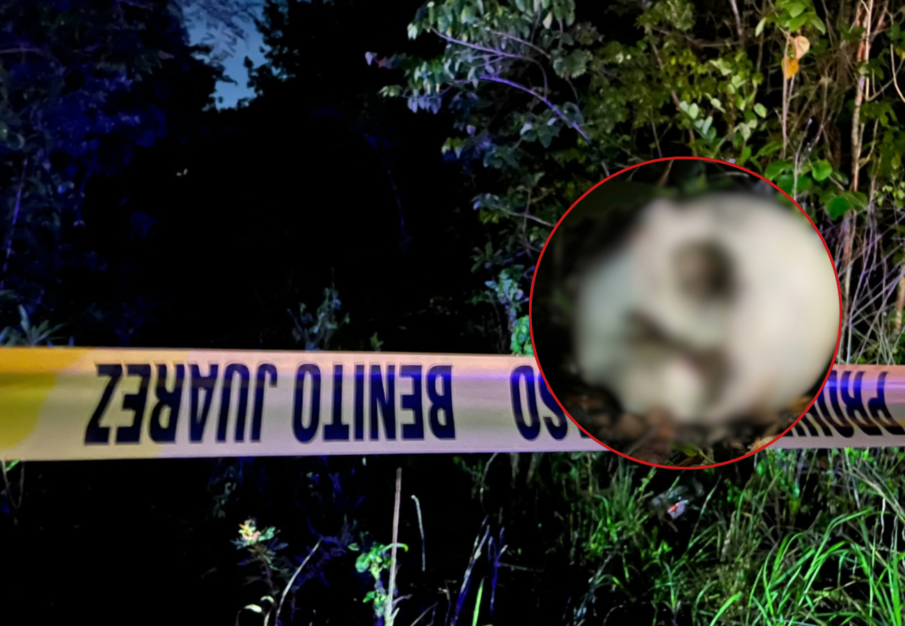 El hallazgo ocurrió durante la madrugada, a unos cinco kilómetros de la avenida José López Portillo