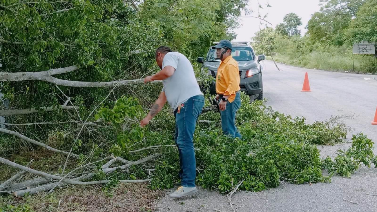 Lluvia provoca apagones, inundaciones y caída de árboles en tres municipios de Yucatán -