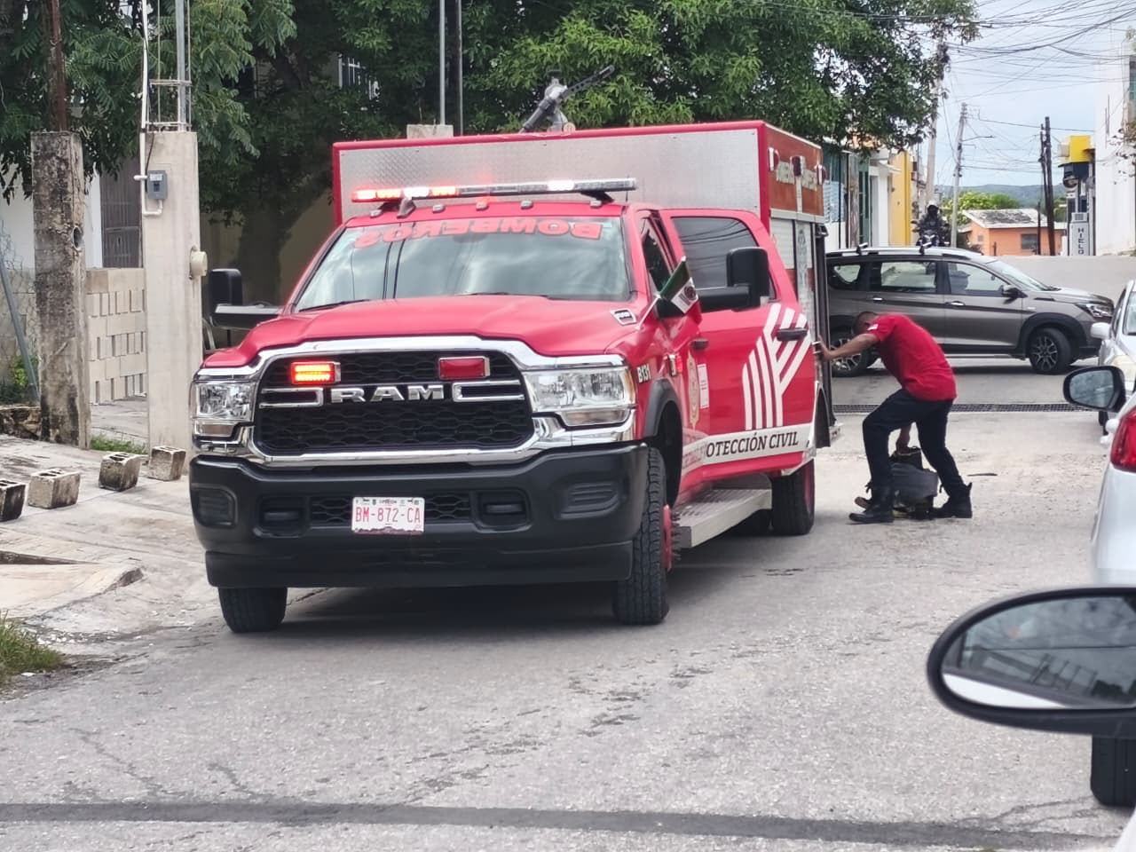 Un mecánico resultó lesionado tras ser atacado por un enjambre de abejas.