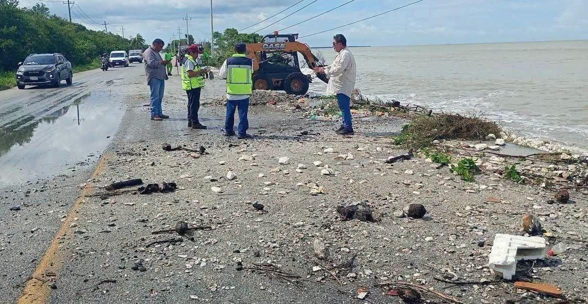 Autoridades reportaron deslaves carreteros ligeros y daños a palmeras ornamentales en Sabancuy.