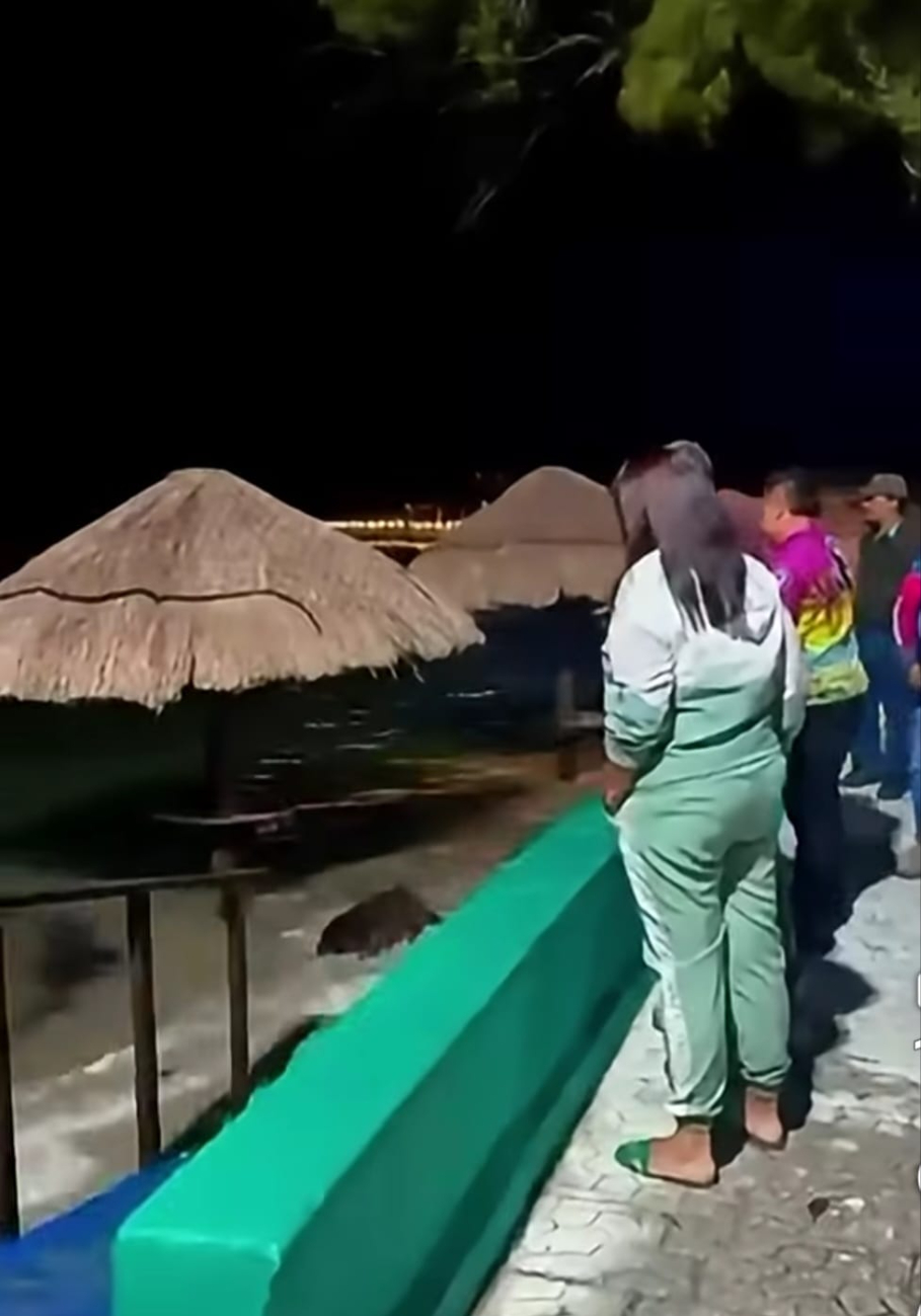 Protección Civil reportó deslaves carreteros y daños a palmeras en un balneario de Sabancuy.