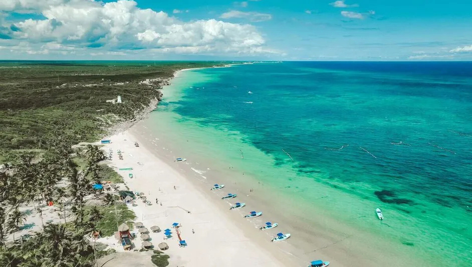 La Semarnat rechazó cuatro proyectos turísticos e inmobiliarios de alto impacto en Quintana Roo.