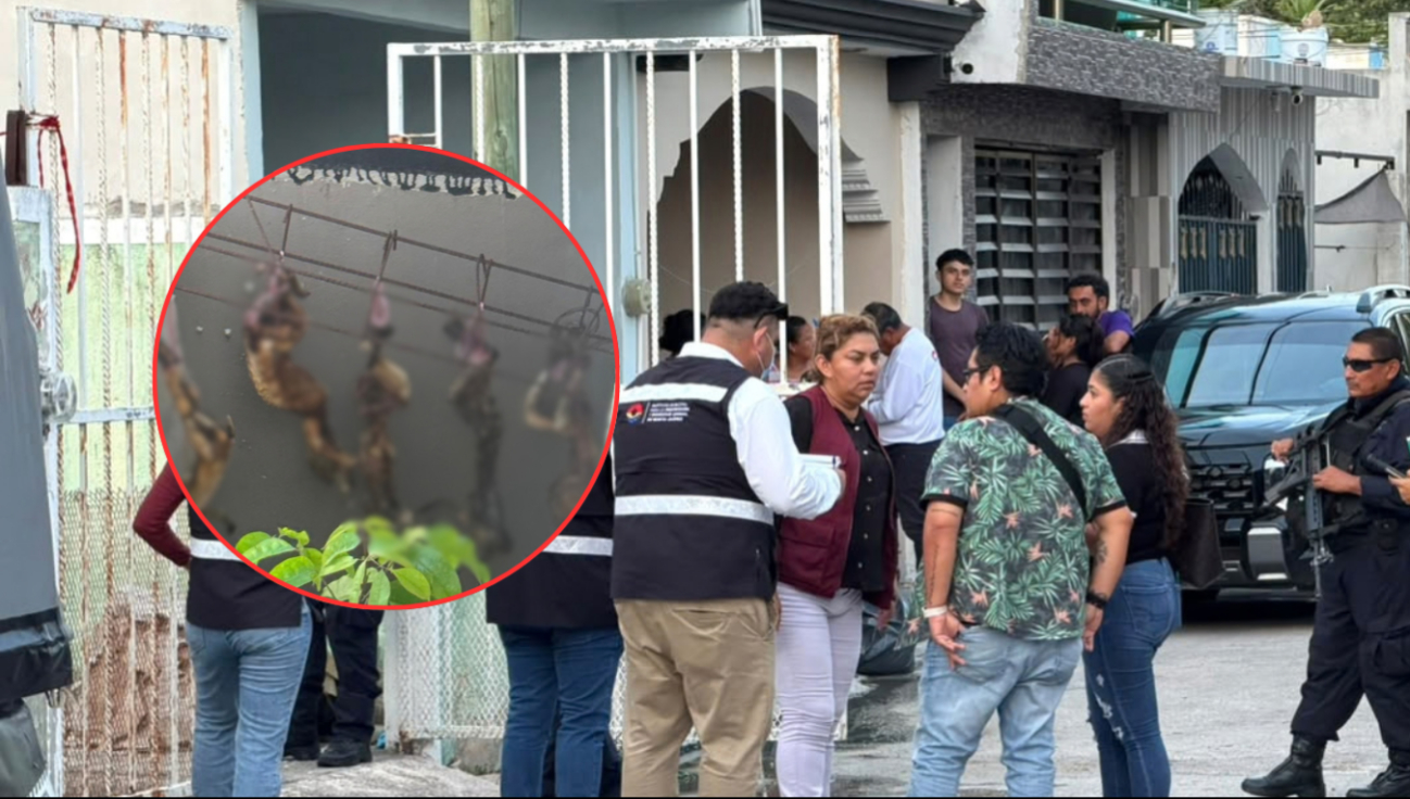 Vecinos de Villas Otoch en Cancún reportaron el hallazgo de animales colgados en un tendedero.