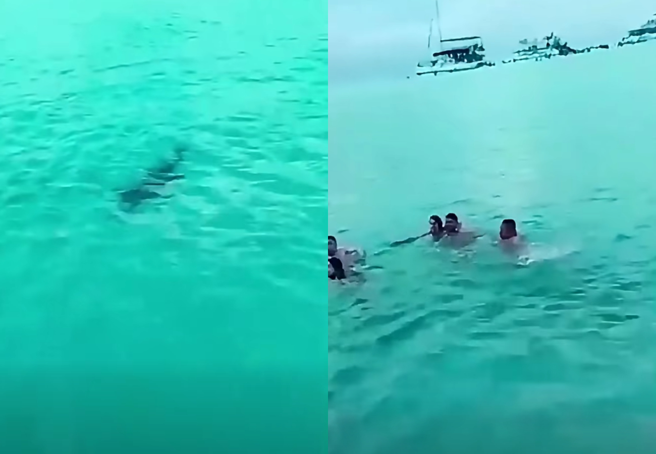 Hasta el momento no se han reportaron personas lesionadas