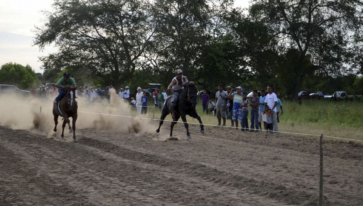 El cartel habría utilizado empresas dedicadas a la organización de carreras de caballos cuarto de milla para mover recursos de origen presuntamente ilícito