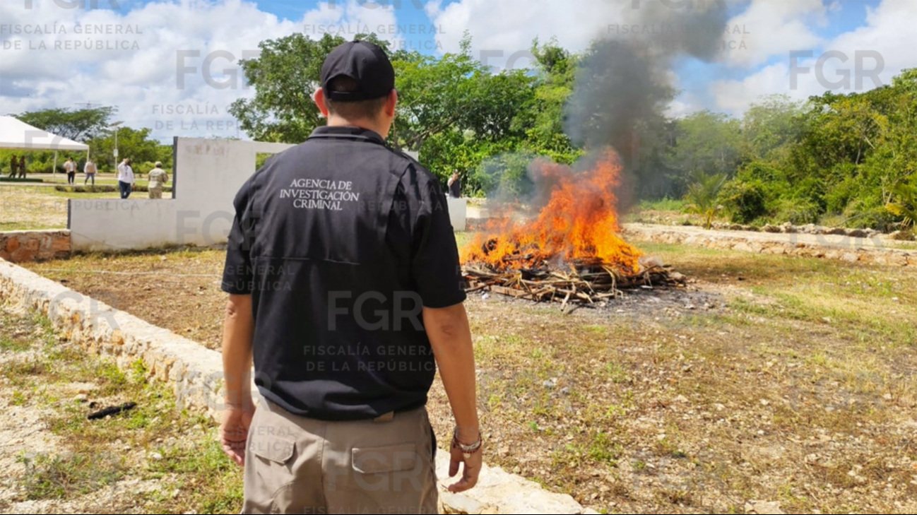 FGR destruye casi 24 kilos de narcóticos en Yucatán durante un operativo