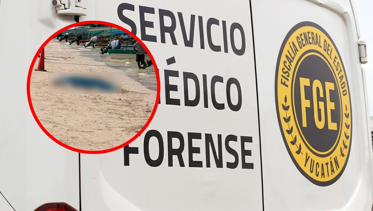 La Policía Estatal acordona la zona del muelle principal tras localizar el cuerpo
