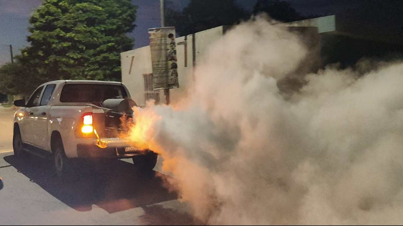 Las acciones buscan erradicar el mosquito transmisor de dengue, zika y chikungunya.
