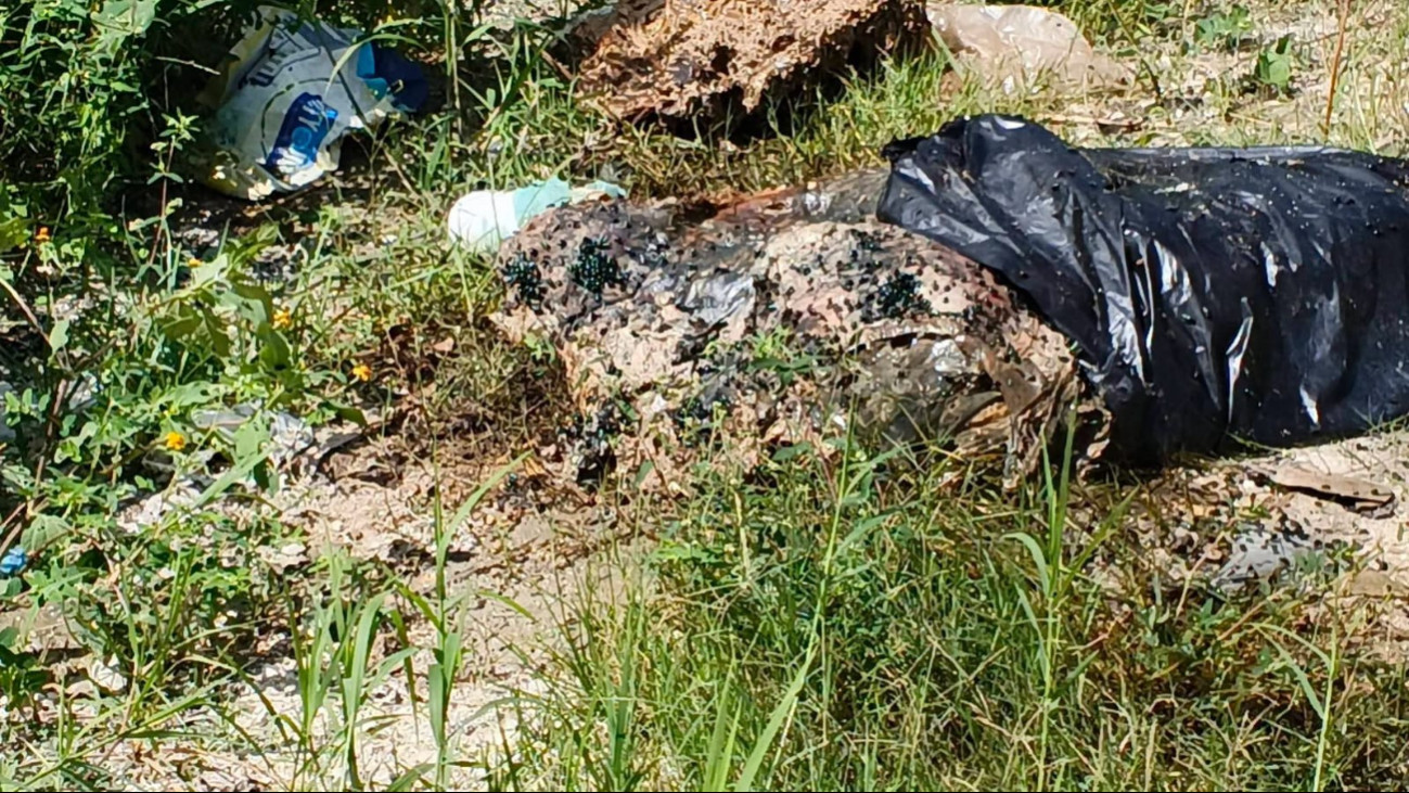 Exhiben basurero clandestino detrás del plantel del Cobacam; avientan hasta reses muertas ahí