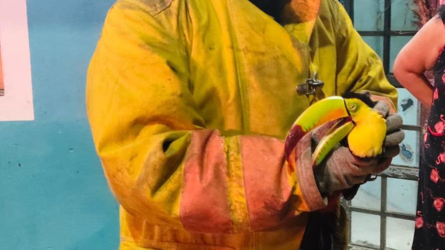 Elementos del Heroico Cuerpo de Bomberos respondieron al llamado.
