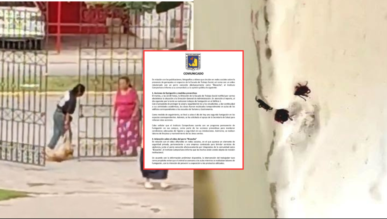 El Instituto Campechano fijó postura tras la indignación por garrapatas y el presunto desalojo de perritos en el Campus V.