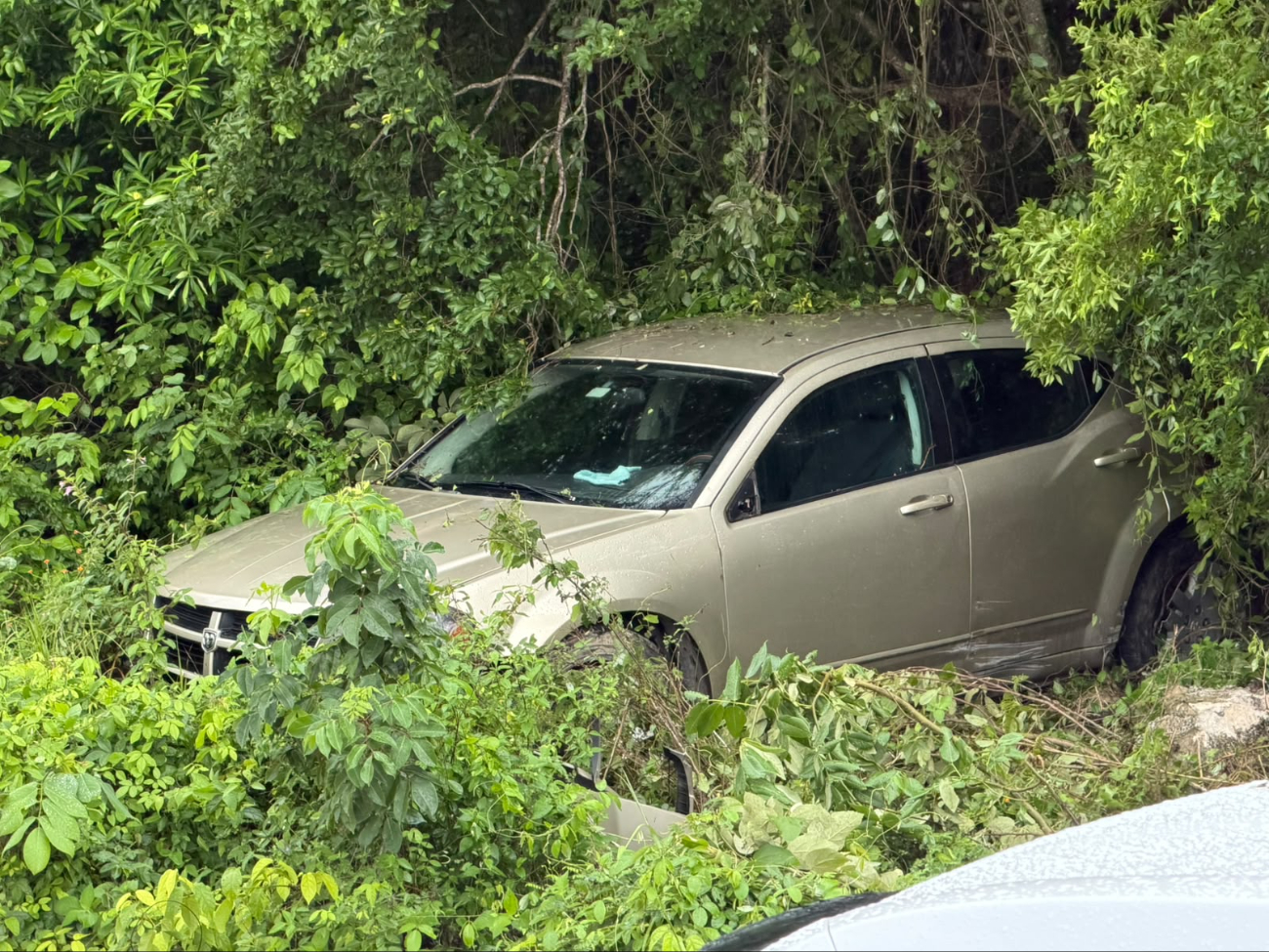 Un aparatoso accidente de tránsito ocurrió el sábado sobre la carretera federal 307 a la altura de Pammul.