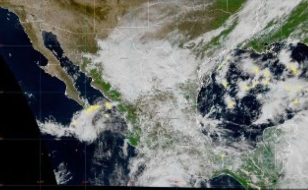 Claudia Sheinbaum pidió a la población extremar precauciones ante las lluvias y los fuertes vientos asociados al huracán Trudy y al frente frío número 2.