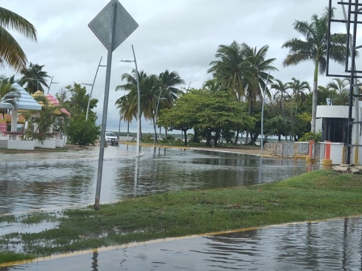 Comerciantes de la zona turística atribuyeron los desbordamientos a la falta de desazolve preventivo.