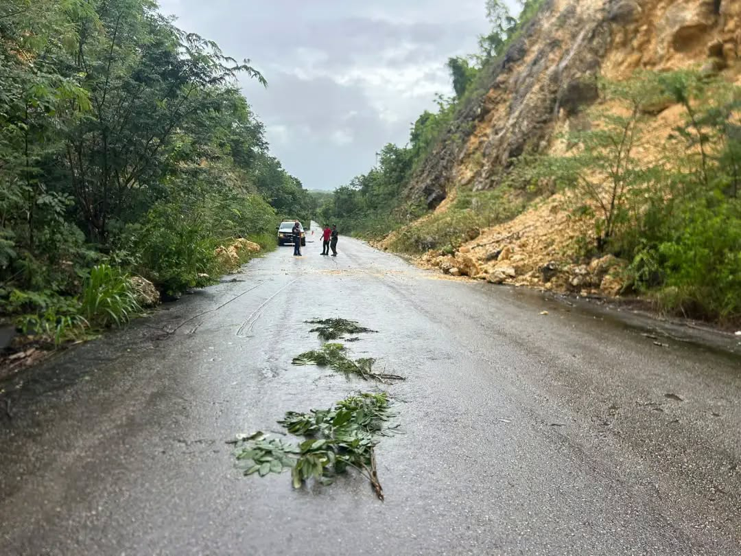 Personal de la COEPROC acudió al lugar de manera inmediata para atender la emergencia.