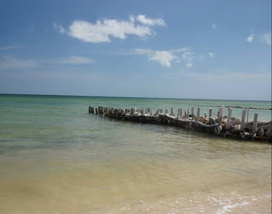 Yucatán figura entre las regiones de México con mayor concentración de investigaciones científicas sobre playas.