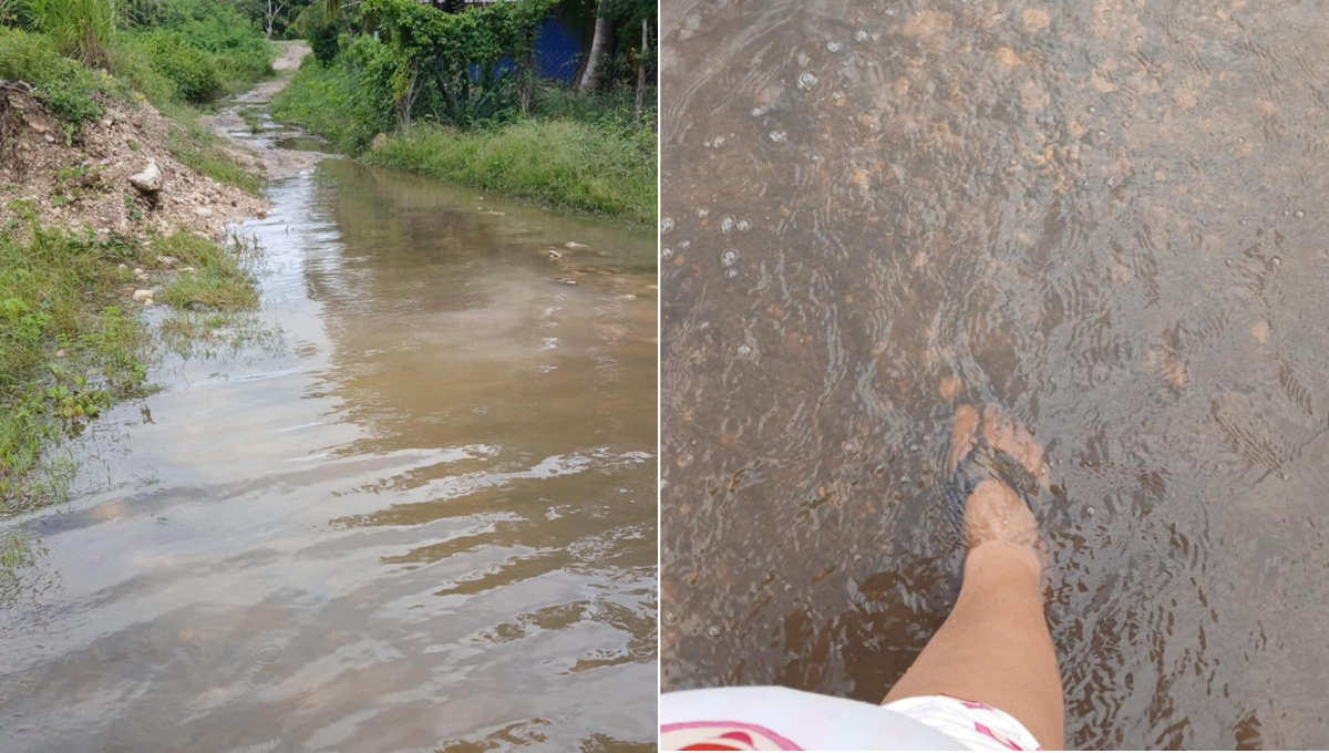 Familias de la calle Carmita Montero, en Hool, amanecieron entre encharcamientos tras las recientes lluvias.