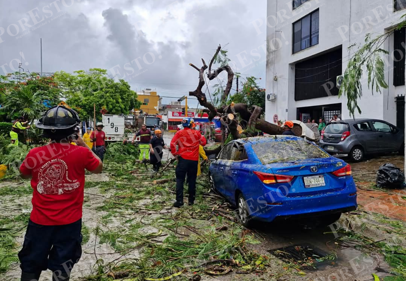 Personal de Servicios Públicos realiza labores de limpieza en la avenida Yaxchilán