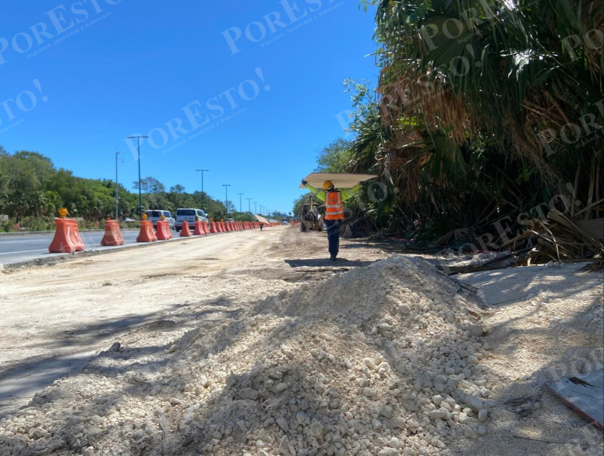 Usuarios consideran que el proyecto modifica el paisaje del inmueble y les inquieta el calor extremo