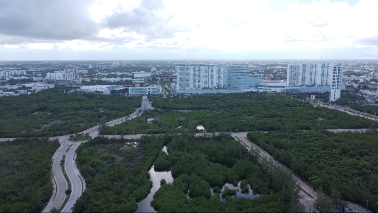 El Gobierno de Quintana Roo y Ayuntamiento de Benito Juárez analizan una solución que permita cumplir una sentencia judicial que protege el ecosistema