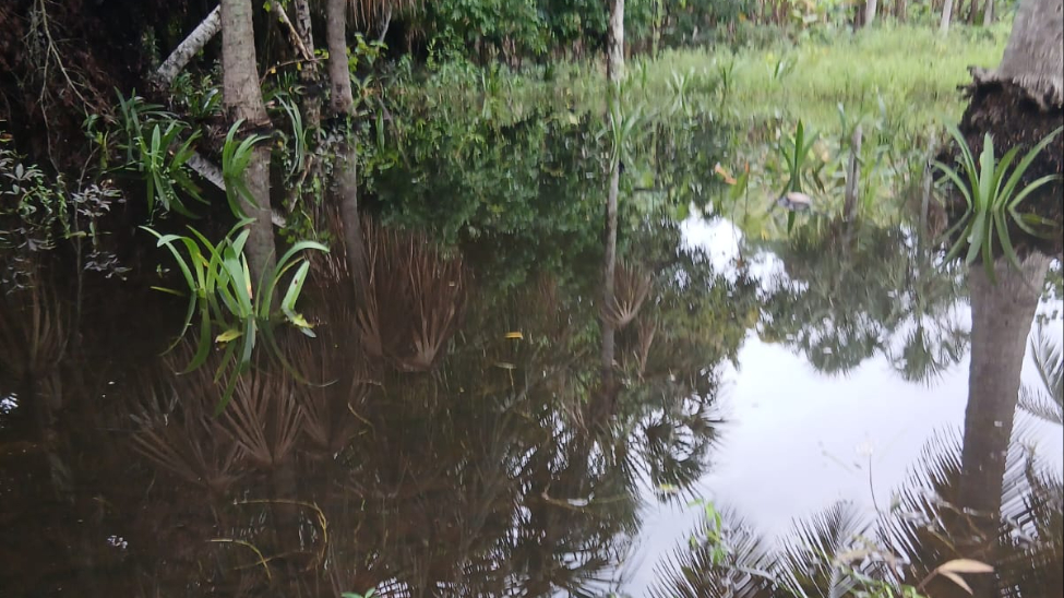La acumulación de agua provoca que se reproduzcan los moscos.