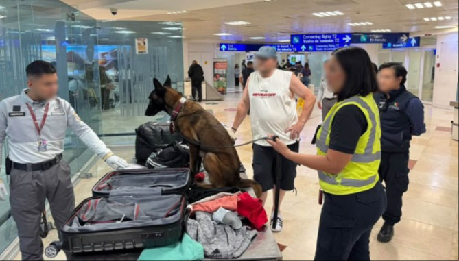 Un binomio canino descubrió el doble fondo de la maleta donde estaba la droga.