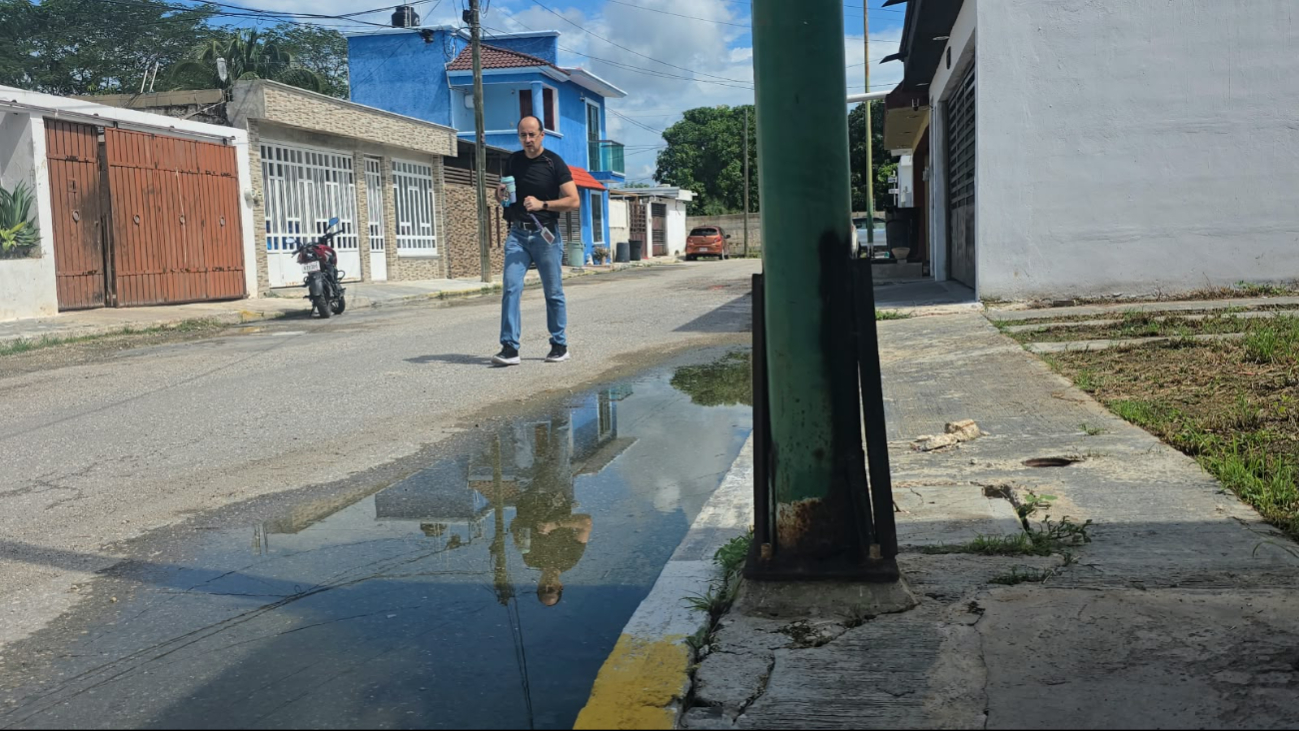 Postes de alumbrado con bases oxidadas y podridas representan peligro de caída.